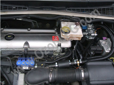 LPG Conversion Citroen Picasso 1.6L year 2007 with Multipoint Gas Injection System